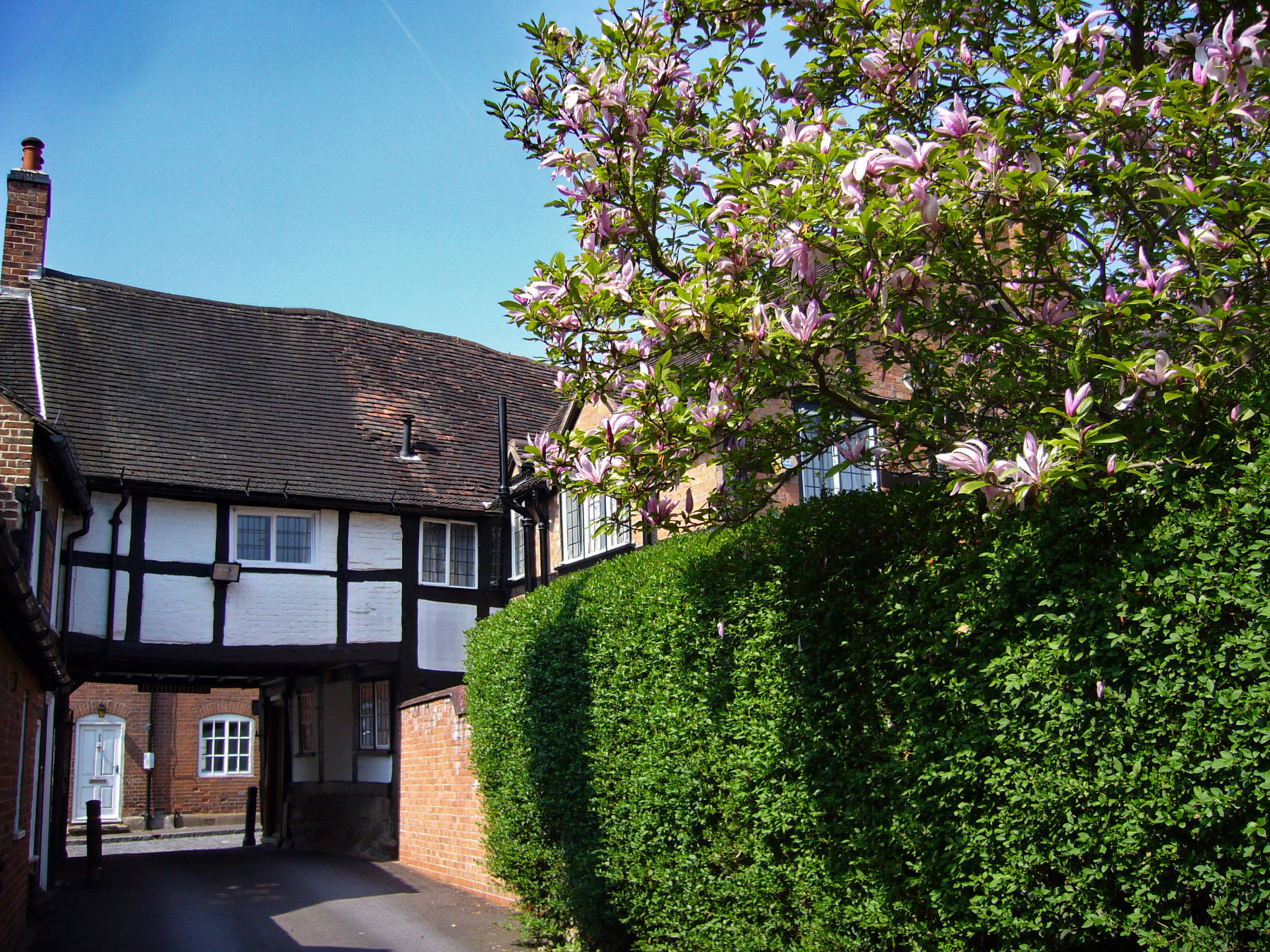 Warwick